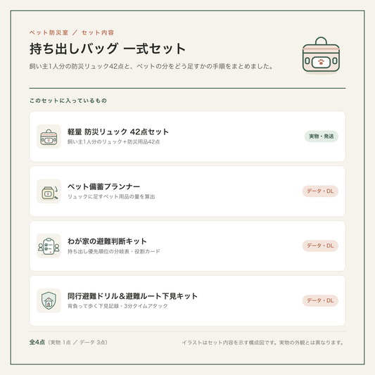 持ち出しバッグ 一式セットのセット内容図。実物1点（防災リュック42点セット）とデータ3点の内訳イラスト。
