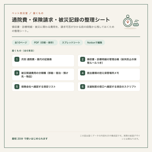 通院費・保険請求・被災記録の整理シート 構成図