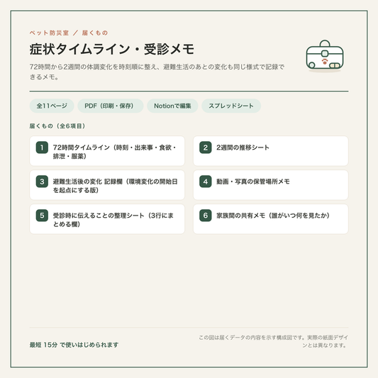 症状タイムライン・受診メモ 構成図