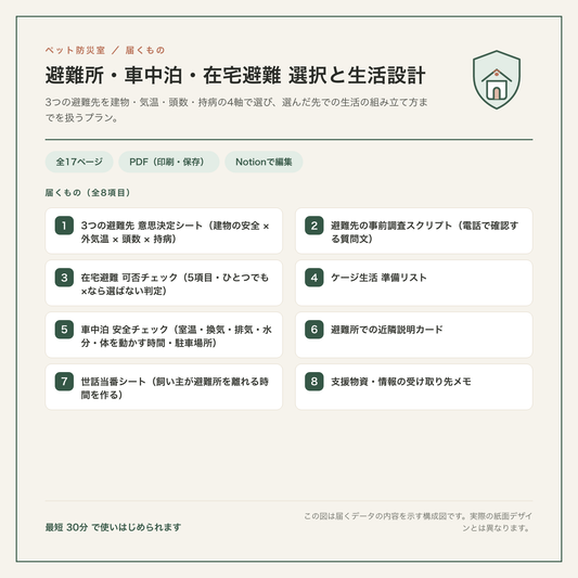 避難所・車中泊・在宅避難 選択と生活設計 構成図